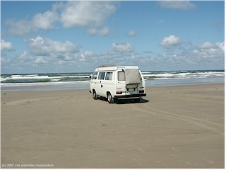 unser "jogi" auf dem sandstrand bei vejers strand, DK