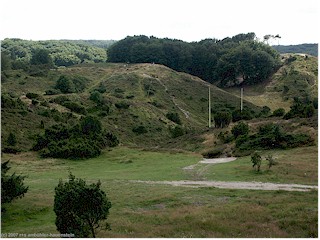hgelige parklandschaft im rebild national park, DK