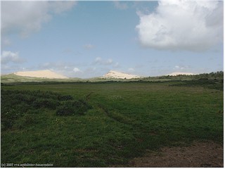 wanderdnen bei blbjerg, DK