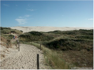 wanderdnen bei rbjergmile, DK