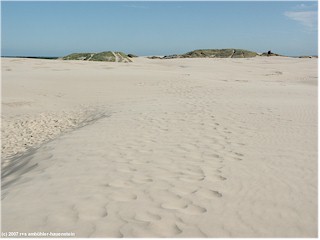 wanderdnen bei rbjergmile, DK- wie in der sahara