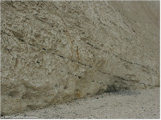 schwarze schichten in den weissen klippen von mns klint