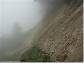 klippen von mns klint im nebel