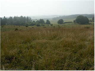 hinterland bei mns klint