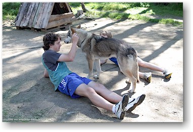 daniel und ein husky auf der huskyfarm polar speed bei sirkka, SF