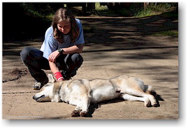 katrin und ein husky auf der huskyfarm polar speed bei sirkka, SF