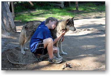 mathias und ein husky auf der huskyfarm polar speed bei sirkka, SF