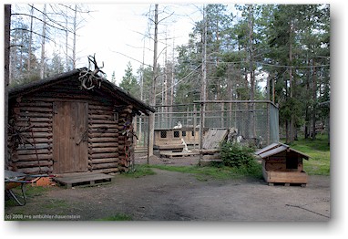 huskyfarm polar speed bei sirkka, SF