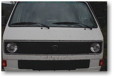 insekten am VW-bus