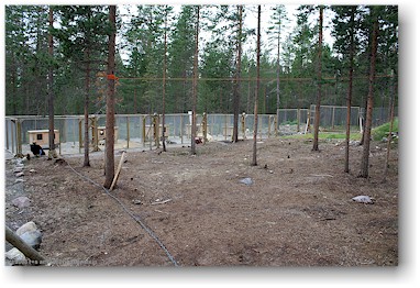 hundezwinger der huskyfarm "huskygrd" bei hststern, S