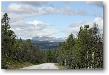 strasse nummer 40 (uvdalsvegen)
