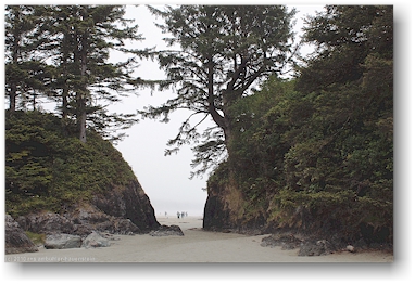 verbindungsweg zwischen zwei buchten bei der wickaninnish bay im pacific rim national park auf vancouver island