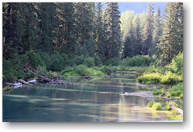 ruhiger seitenarm des salmon river in der fish creek wildlife site in hyder, alaska, USA