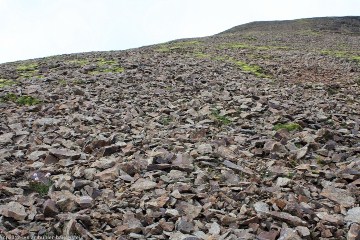 blick bergwaerts vom wanderweg richtung kristinartindar im skaftafell nationalpark