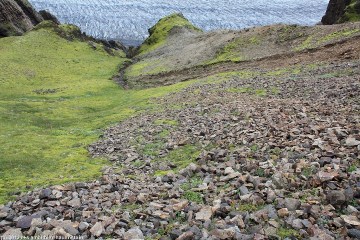 blick talwaerts vom wanderweg richtung kristinartindar im skaftafell nationalpark