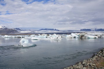 eisberge treiben in den kanal vom joekulsarlon zum meer