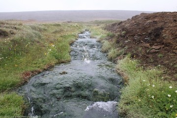 bach mit warmem wasser bei laugarvellir