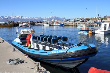 schnellboot von gentle giants im hafen von husavik