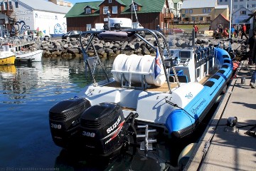 schnellboot von gentle giants im hafen von husavik