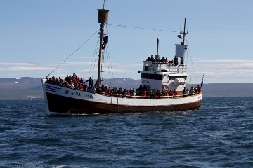 gut besetztes whale watching-boot auf dem skjalfandi bei husavik