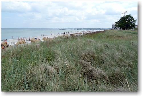 duene beim sandstrand an der ostseekueste bei scharbeutz
