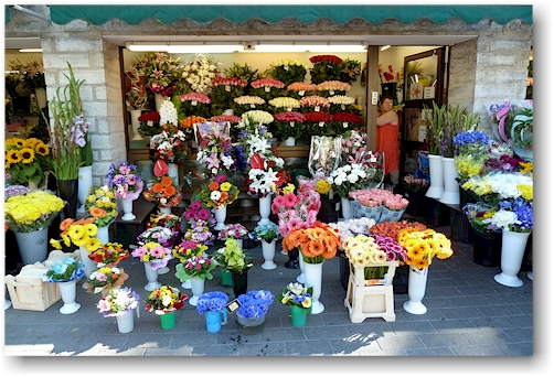 blumenladen am eingang zur altstadt von tallinn