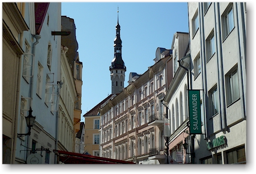 viru - hauptstrasse in der altstadt von tallinn