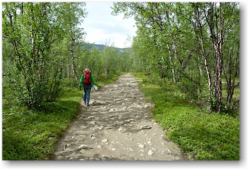 wanderweg zwischen nikkaluokta und ladtjojaure ost