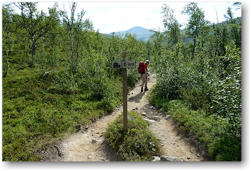 susanne bei kilometer 6 auf dem wanderweg zwischen der kebnekaise fjaellstation und dem bootsteg bei ladtjojaure west