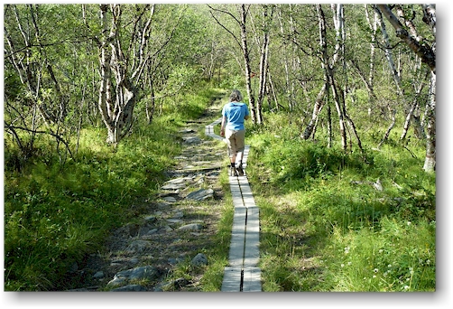 susanne unterwegs auf dem kungsleden