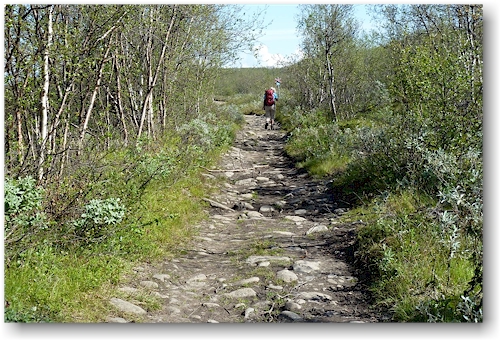 holpriger kungsleden