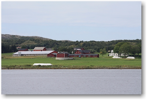 bauernhof am ufer des vefsnfjorden
