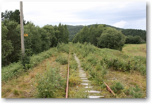 auf dem rueckweg