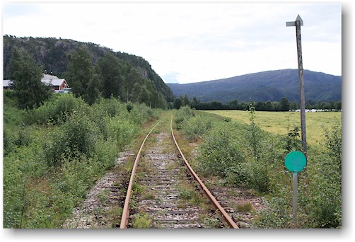 heidelbeerstraeucher saeumen das bahngleis