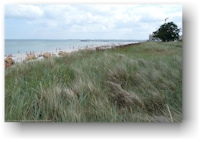 sandstrand an der ostseekueste bei scharbeutz