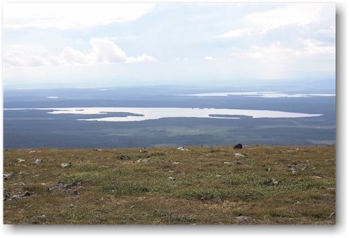aussicht vom laukukero im nationalpark pallas-yllaestunturin, FI