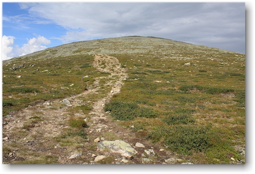 laukukero im nationalpark pallas-yllaestunturin, FI