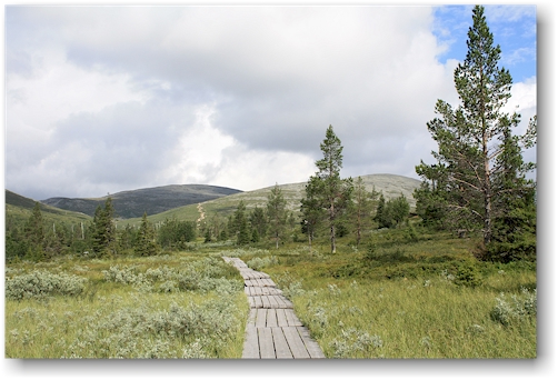 wanderweg bei pallastunturi mit taivaskero im hintergrund im nationalpark pallas-yllaestunturin, FI