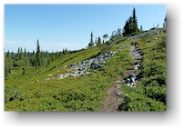 wanderung zum pallilaki im nationalpark pallas-yllaestunturin