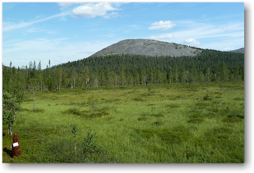 blick von der terrasse des cafes des kellokas visitor center im pallas-yllaestunturin nationalpark