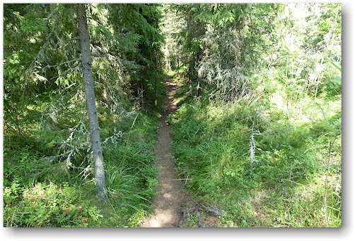 wanderweg im naturreservat rotsidan