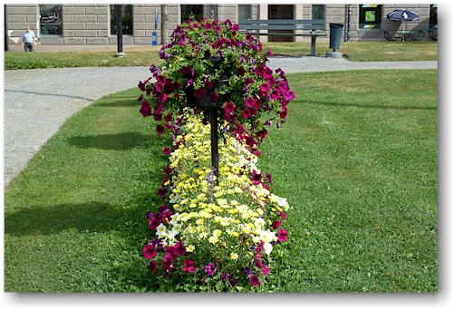 praechtiges blumenbeet im garten des neuen radhus (rathaus) in haernoesand, SE