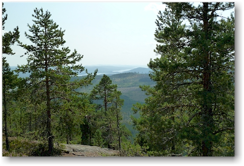 aussicht vom jaervsoeklack im jaervsoeklacken naturreservat ins tal des ljusnan