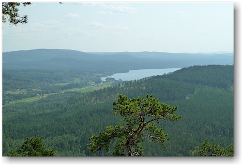 blick vom jaervsoeklack im jaervsoeklacken naturreservat auf den kalvsjoen