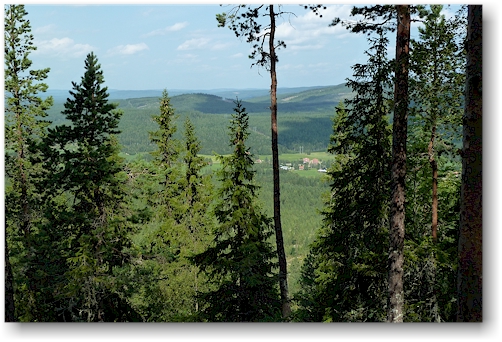 blick vom jaervsoeklack im jaervsoeklacken naturreservat auf einen nahen bauernhof