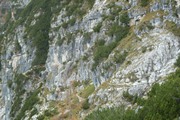 (südtirol, 15.10.2014)