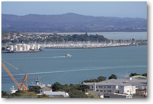 yachthafen bei auckland