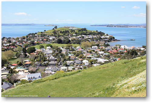 devonport mit windsor reserve
