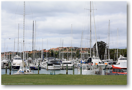 gulf harbour bei whangapaoroa