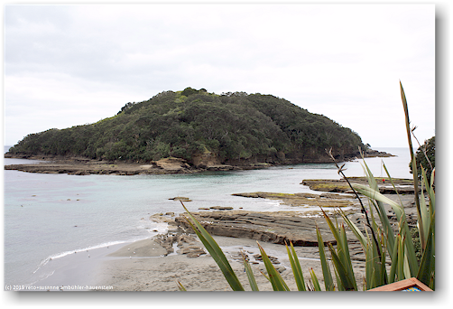 goat island im cape rodney okakari point marine reserve